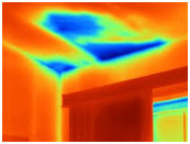 Home inspection with infrared thermal image of moisture in a ceiling